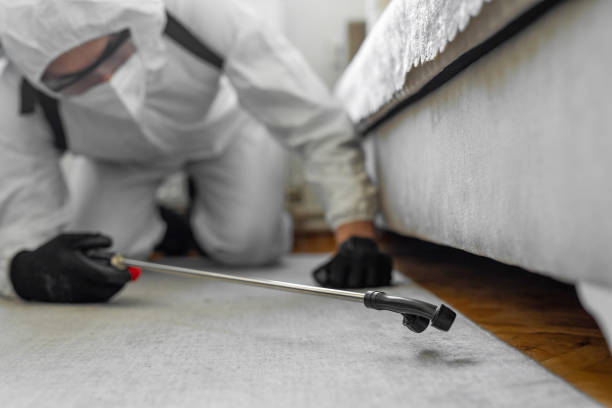 Professional Mosquito Control technician working in Concord, CA