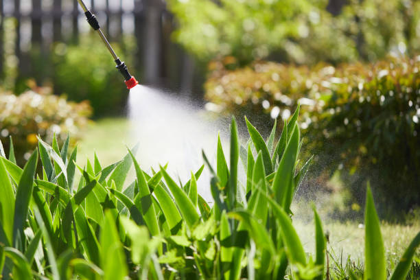 24/7 Emergency Mosquito Control experts in Concord, CA