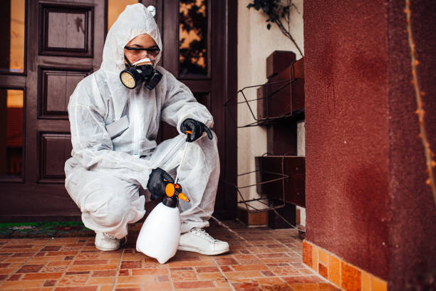 Reliable Mosquito Control contractor in Concord, CA by Nex Pest Control
